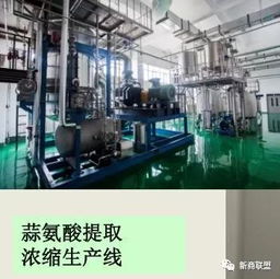 霍爾果斯 從百年邊陲口岸到跨境金融與網(wǎng)絡(luò)技術(shù)的“新試驗(yàn)田”